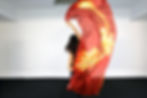 Digital Silk Scarf