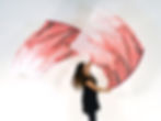 Digital Large Silk Flags