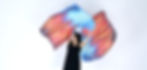 Digital Silk Flags - Stardard