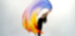 Digital Silk Flags - Medium Long