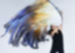 Digital Silk Angelic Wings